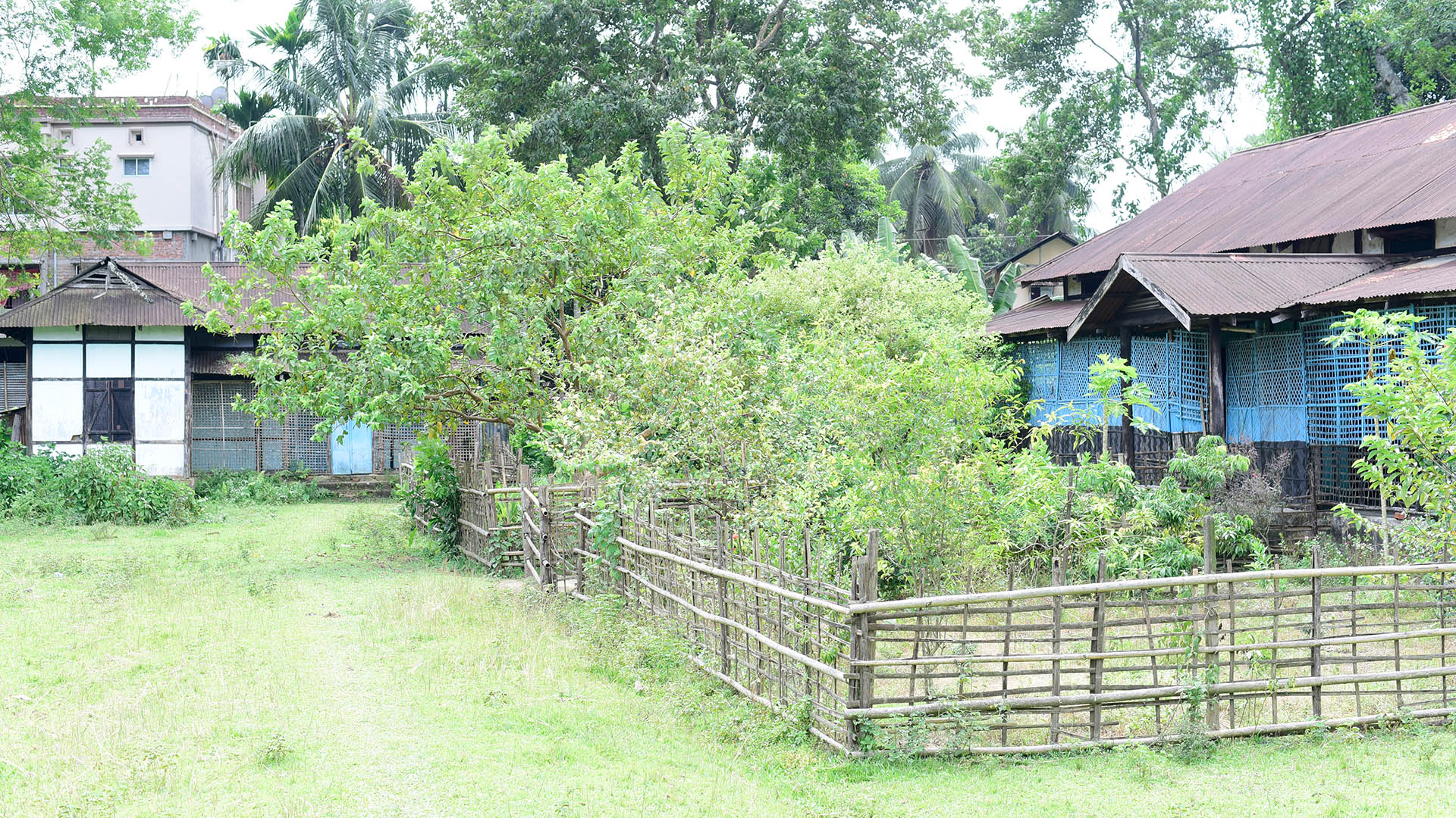 campus_image4